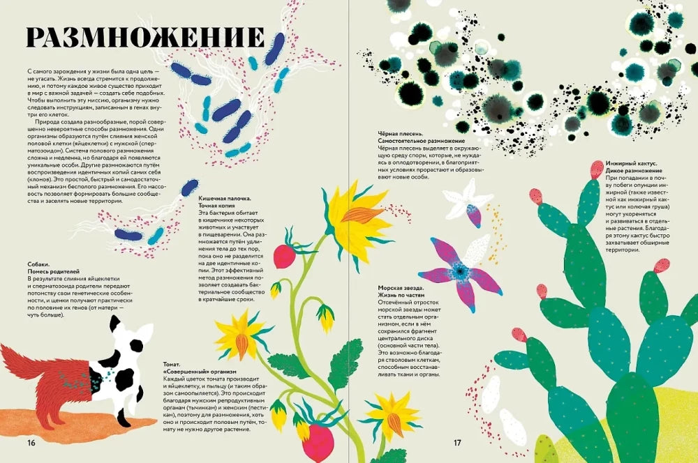 Чудесная книга жизни 9785006307162