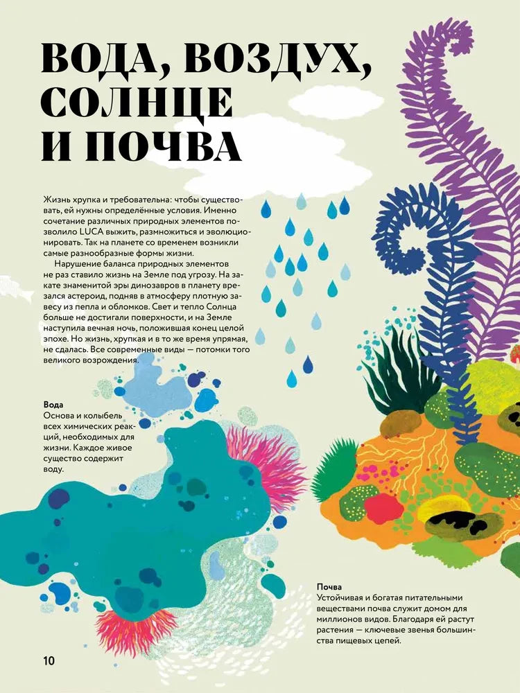 Чудесная книга жизни null - 5