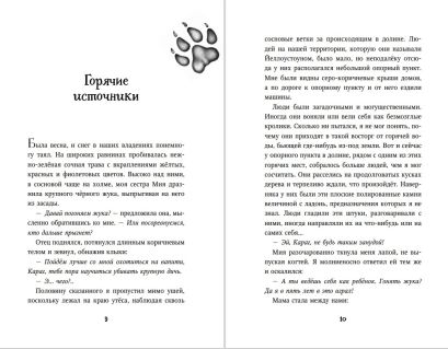 Тайна Холли 978-5-04-096622-6 - 2