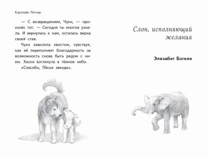 Чудеса в полярную ночь 978-5-04-116467-6 - 4