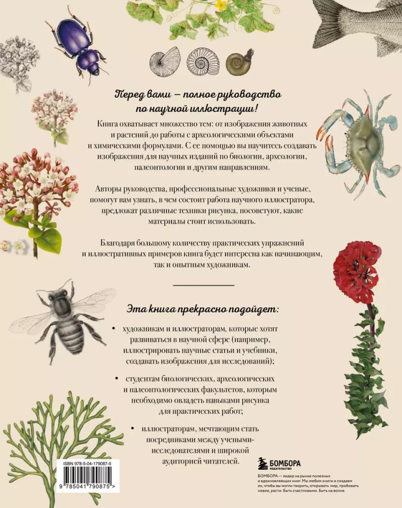 Профессия — Научный иллюстратор. Руководство по иллюстрации в биологии, археологии и палеоарте null - 2