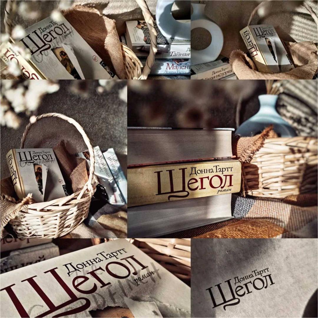 Щегол 978-5-17-085448-6 - 36