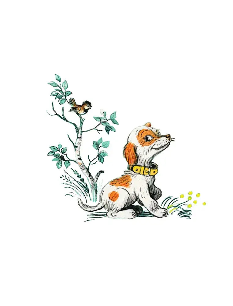 Стихи и сказки для самых маленьких 9785171215248