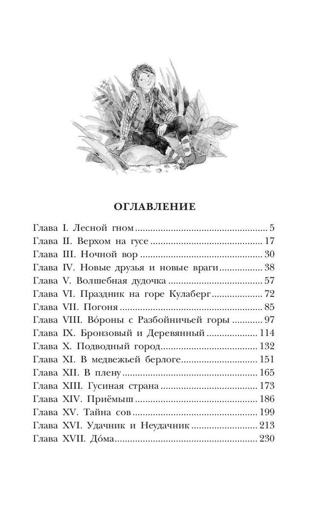 Чудесное путешествие Нильса с дикими гусями 9785171333614