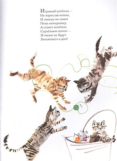 Удивительные кошачьи истории 978-5-17-133904-3 - 8