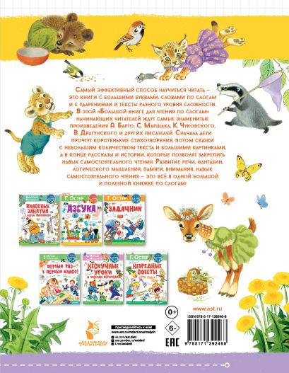 Большая книга для чтения по слогам 978-5-17-139246-8 - 0
