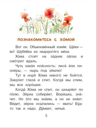 Приключения Хомы и Суслика 978-5-17-148272-5 - 3