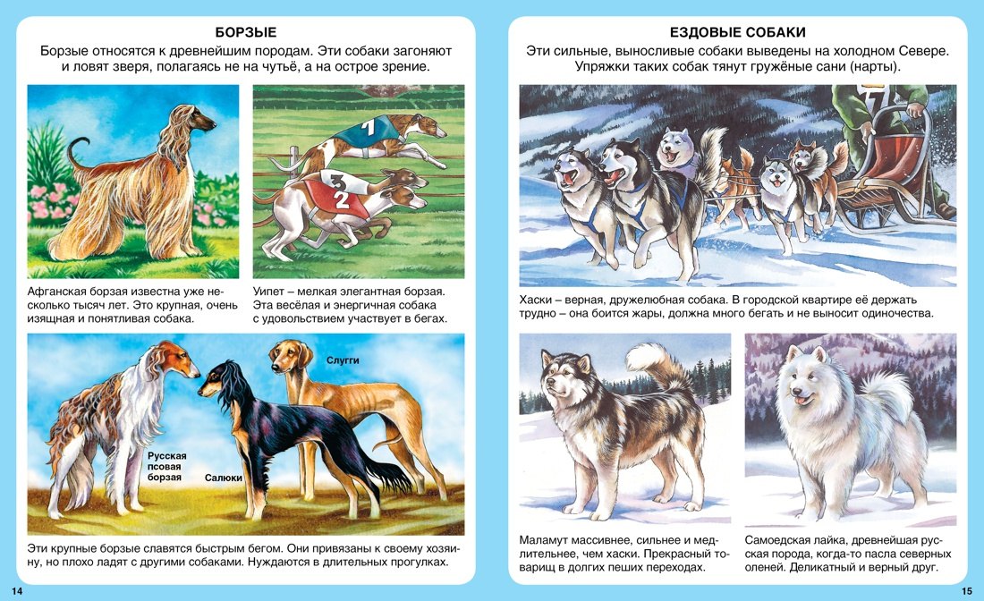 Домашние питомцы 978-5-18-001046-9, 978-5-389-08628-9 - 6