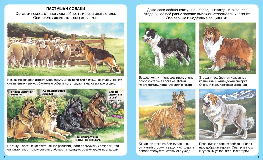 Домашние питомцы 978-5-18-001046-9, 978-5-389-08628-9 - 3