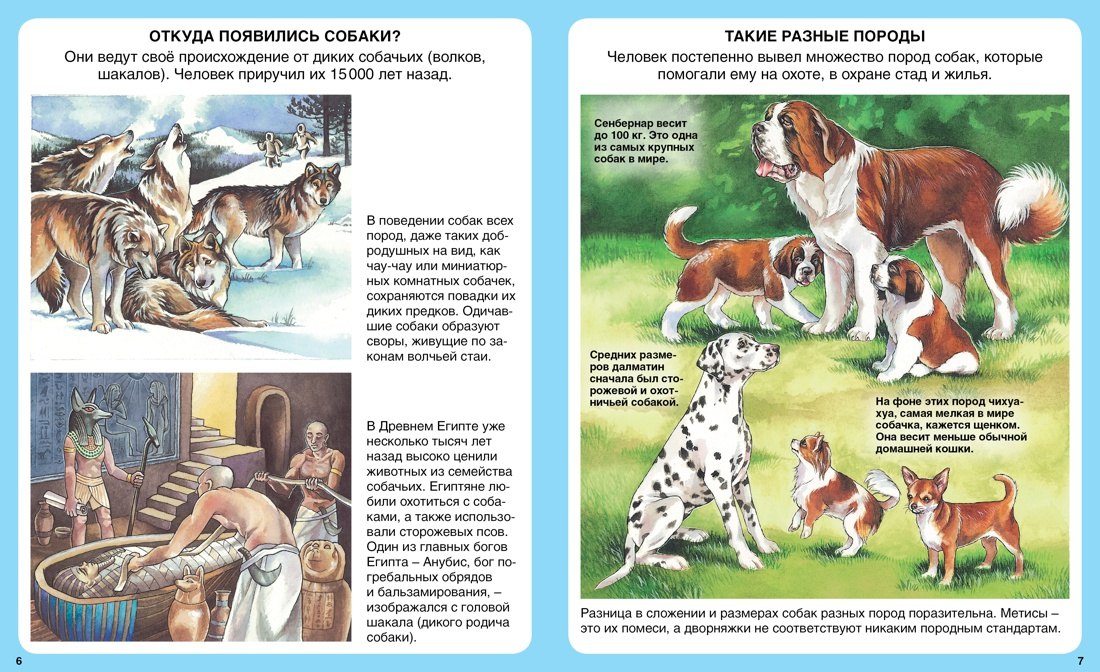 Домашние питомцы 978-5-18-001046-9, 978-5-389-08628-9 - 2