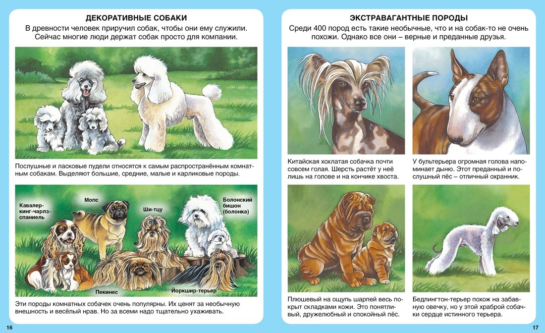 Домашние питомцы 978-5-18-001046-9, 978-5-389-08628-9 - 7