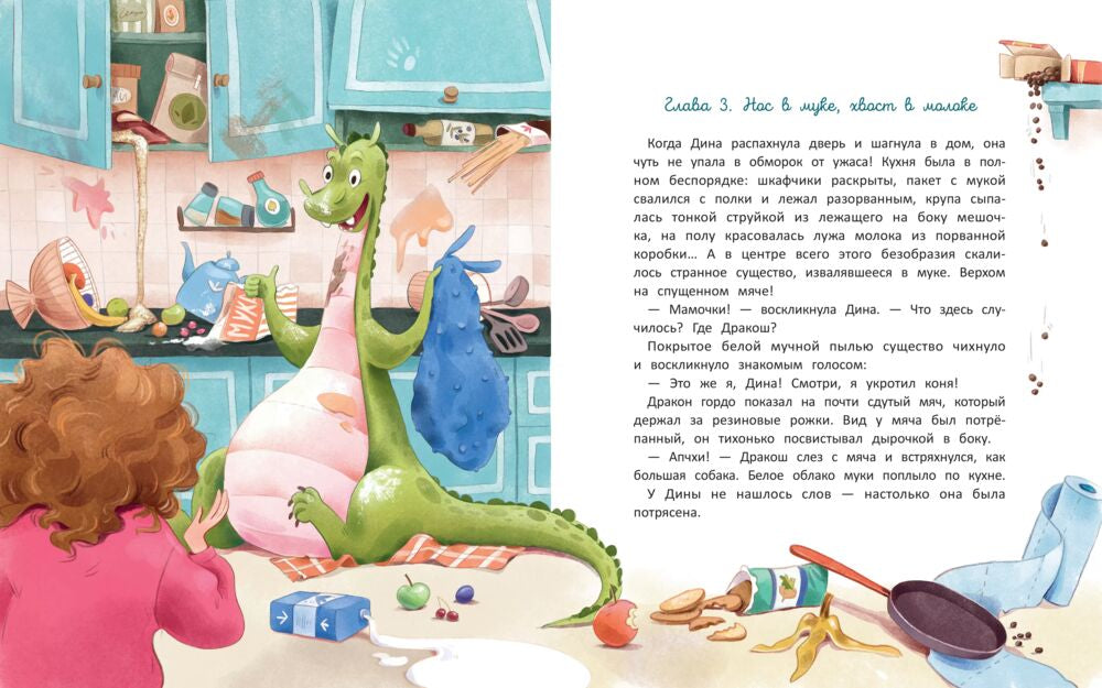 Дина и Дракош наводят порядок 9785222398241