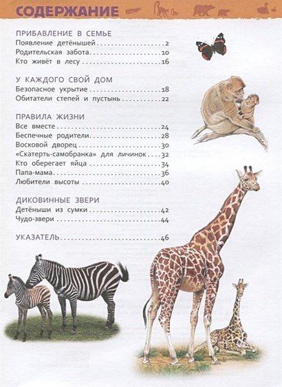 Детеныши животных 978-5-353-09339-8 - 0