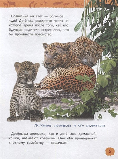 Детеныши животных 978-5-353-09339-8 - 4