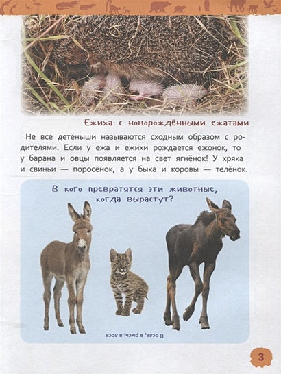 Детеныши животных 978-5-353-09339-8 - 2
