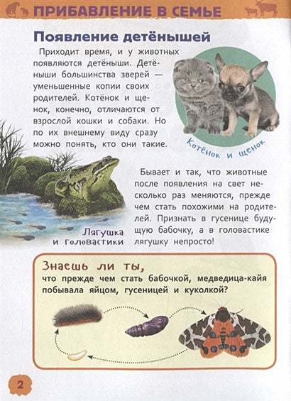 Детеныши животных 978-5-353-09339-8 - 1