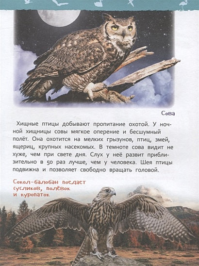 Птицы 978-5-353-09340-4 - 4