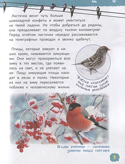 Птицы 978-5-353-09340-4 - 2