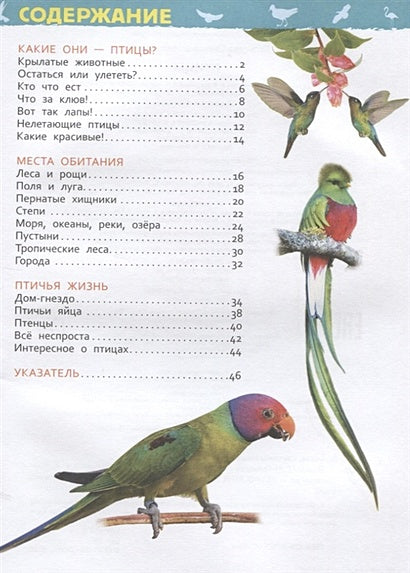Птицы 978-5-353-09340-4 - 0