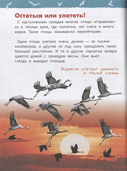 Птицы 978-5-353-09340-4 - 1