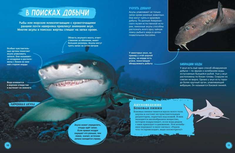 Акулы. Иллюстрированная энциклопедия 9785353106333