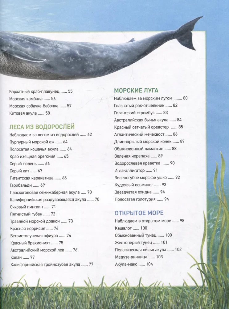 Подводный мир. Полная энциклопедия null - 6
