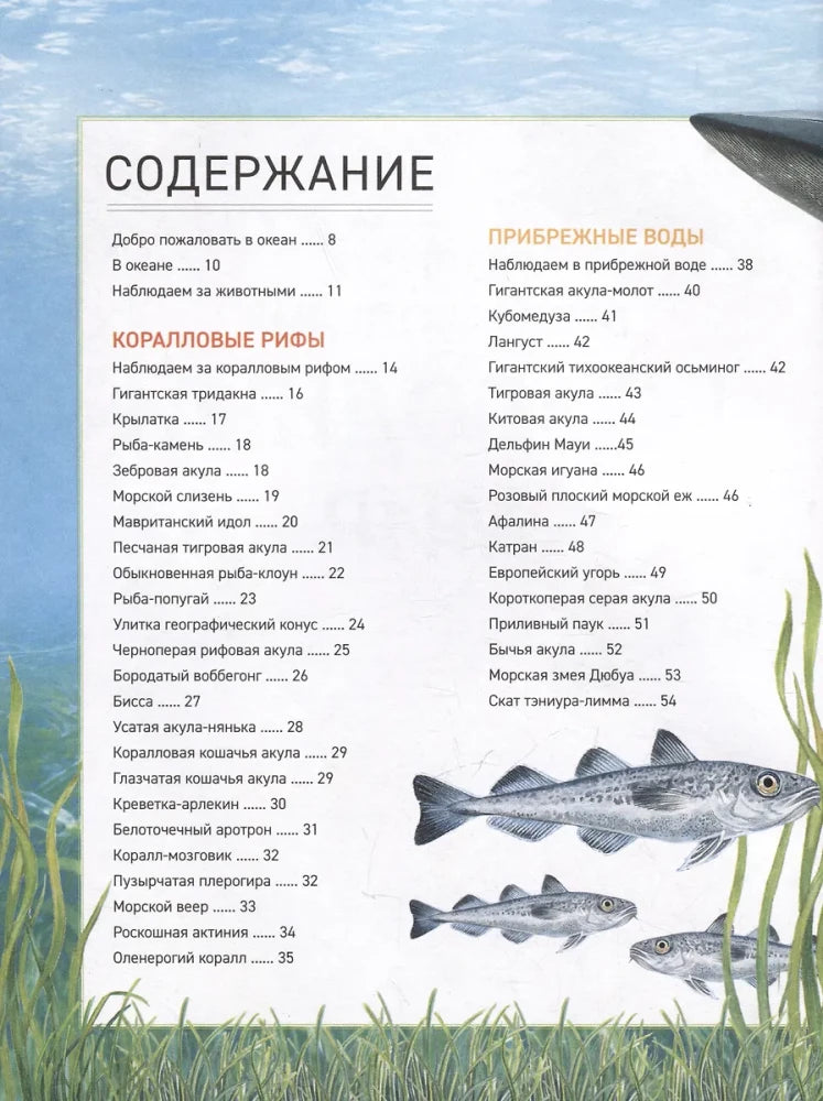 Подводный мир. Полная энциклопедия null - 5