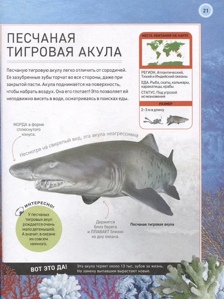 Подводный мир. Полная энциклопедия null - 3