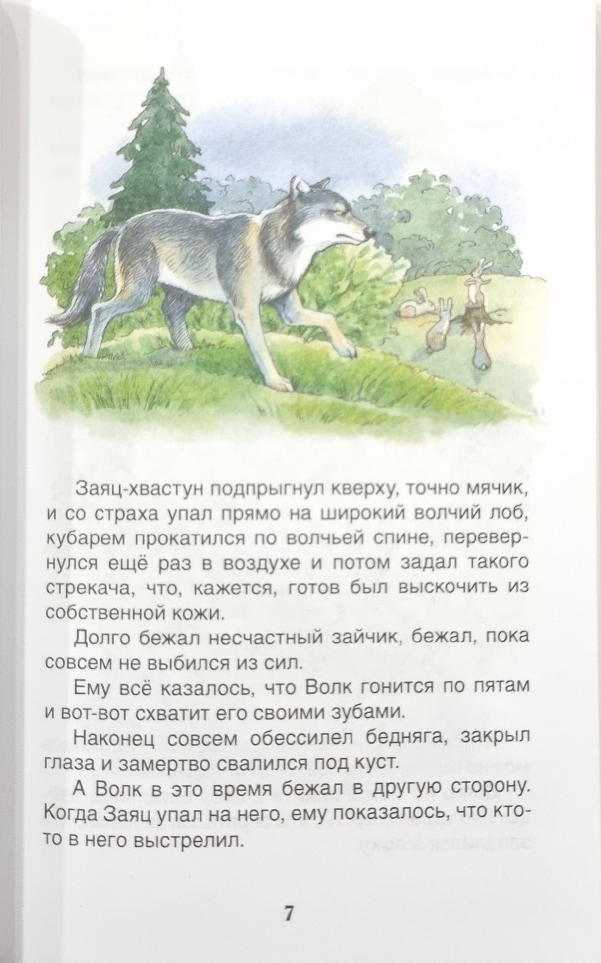 Серая Шейка. Аленушкины сказки 9785353112983