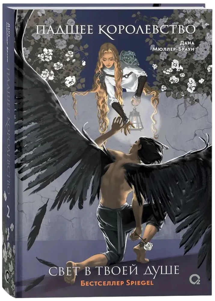 Падшее королевство. 2. Свет в твоей душе null - 1