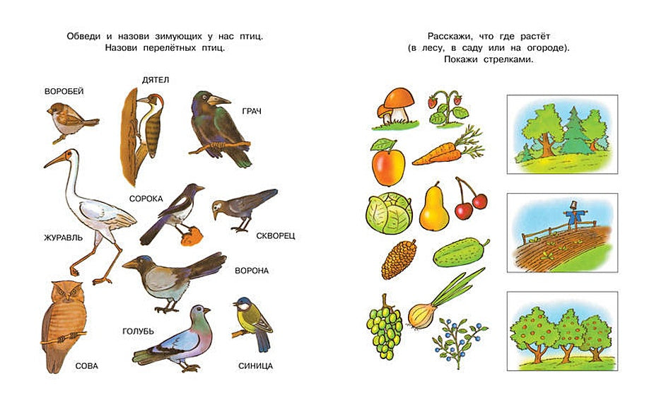 Что нас окружает.Познаем мир 978-5-389-07083-7 - 4