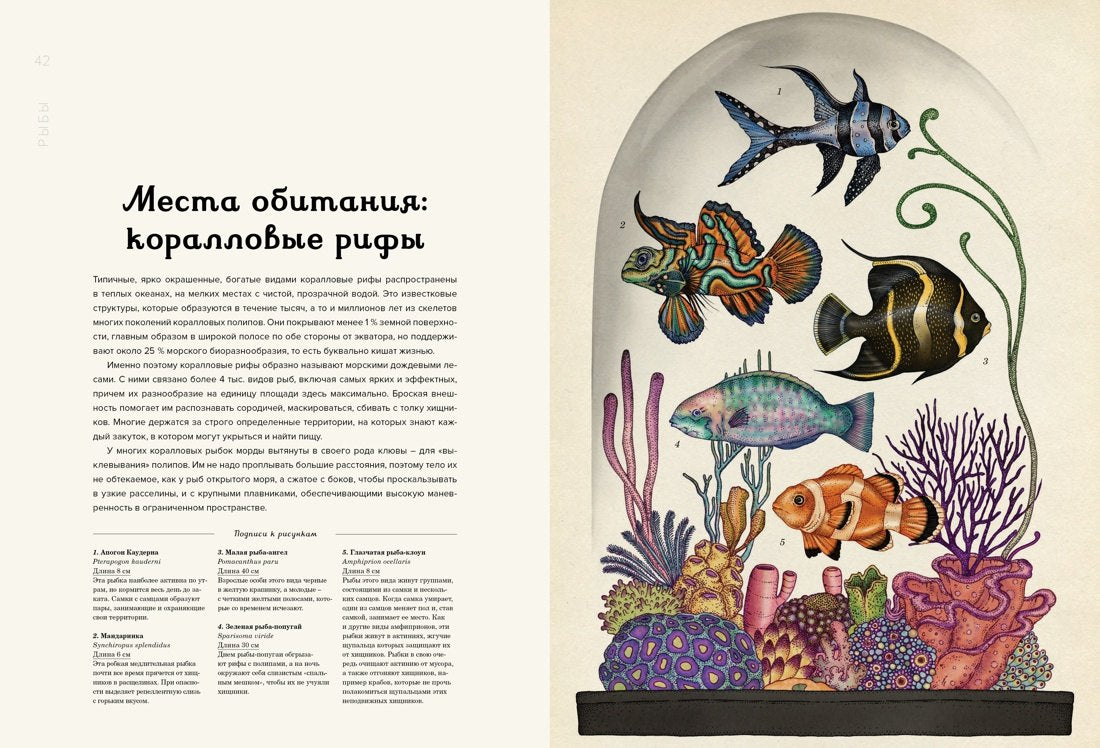 Анималиум 9785389074996