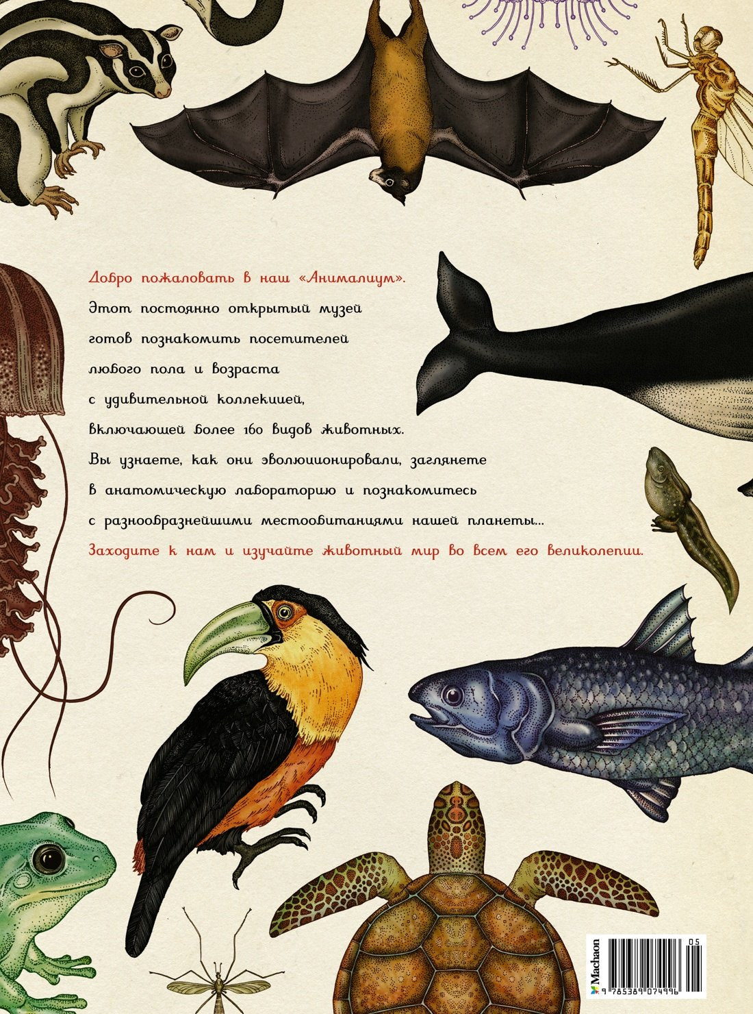 Анималиум 9785389074996