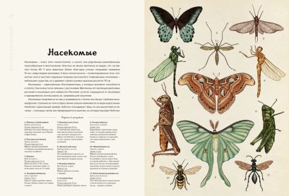 Анималиум 978-5-389-07499-6 - 1