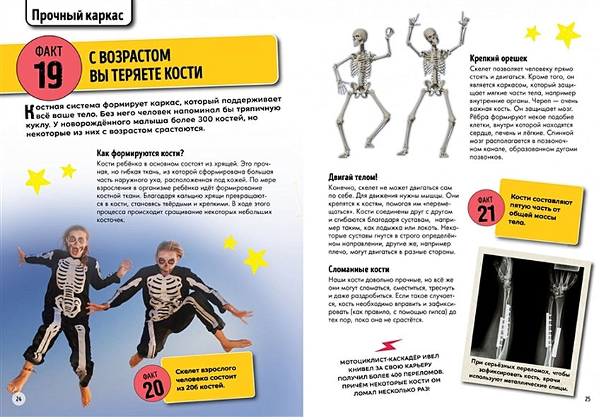 Всё о теле человека 978-5-389-17755-0 - 11