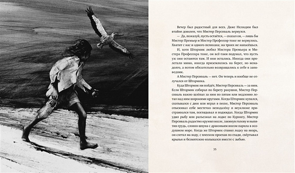 Штормик и мистер Персиваль 978-5-389-18067-3 - 9