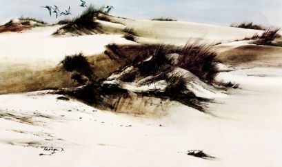 Штормик и мистер Персиваль 978-5-389-18067-3 - 2