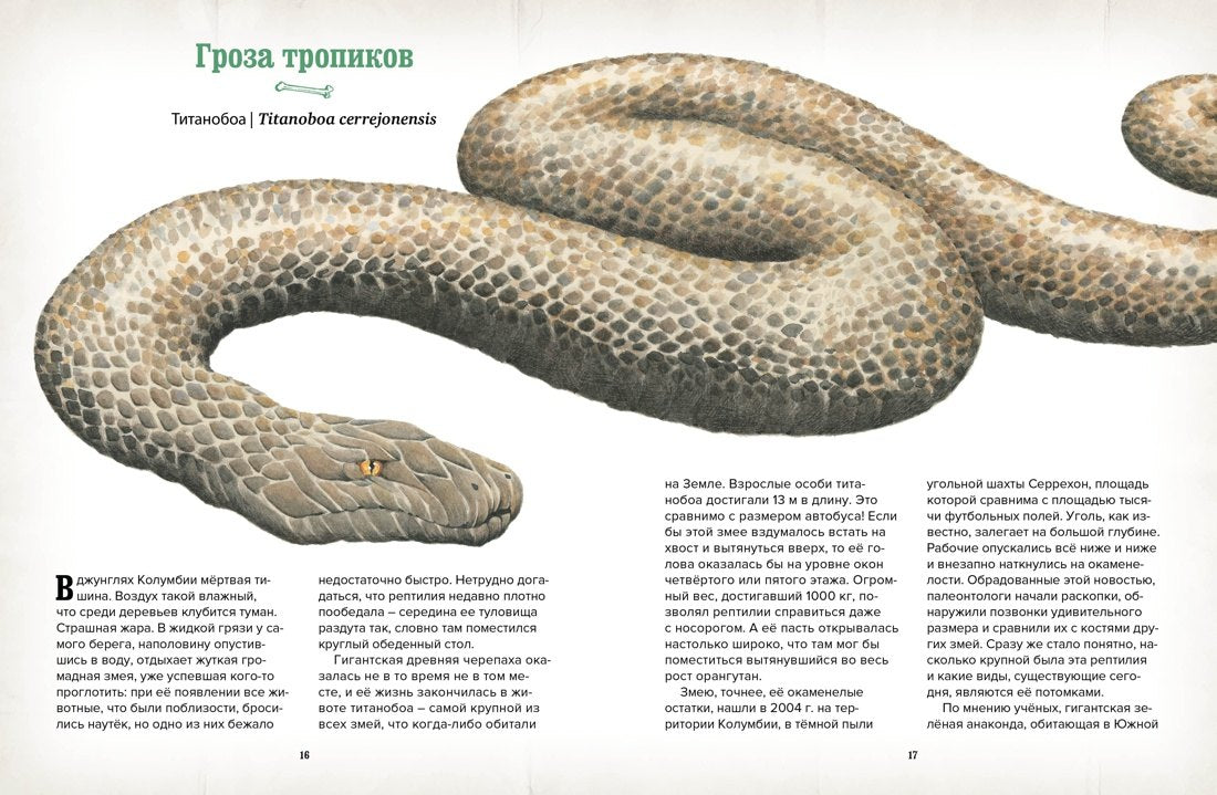 Музей доисторических животных. Единороги, мамонты, динозавры и другие экспонаты 9785389195578
