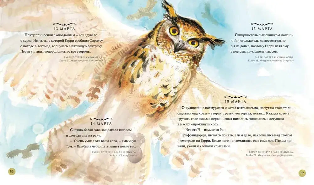 Гарри Поттер. Год с волшебством 9785389198289