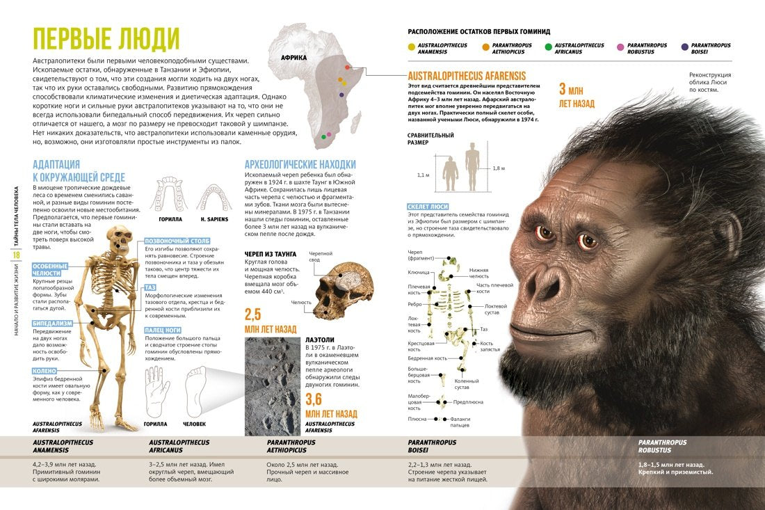 Тайны тела человека. Большая иллюстрированная энциклопедия 9785389213210