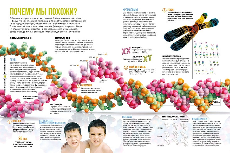 Тайны тела человека. Большая иллюстрированная энциклопедия 978-5-389-21321-0 - 4