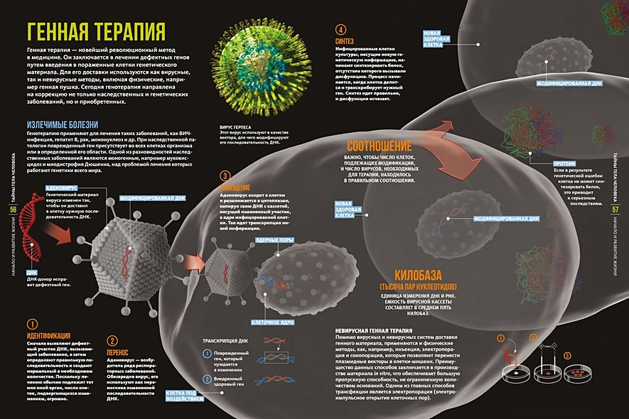 Тайны тела человека. Большая иллюстрированная энциклопедия 978-5-389-21321-0 - 5