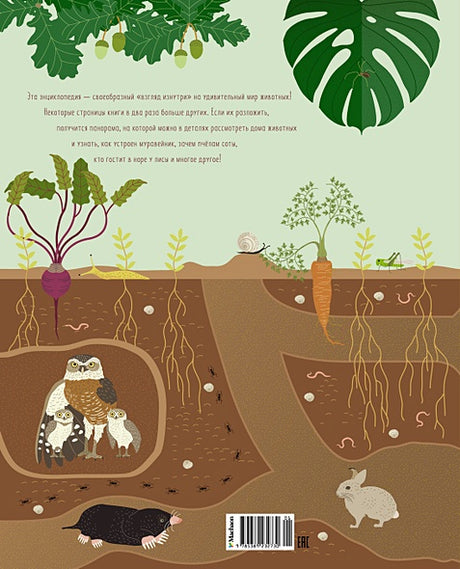 Что внутри? Как устроены дома животных 978-5-389-23273-0 - 0