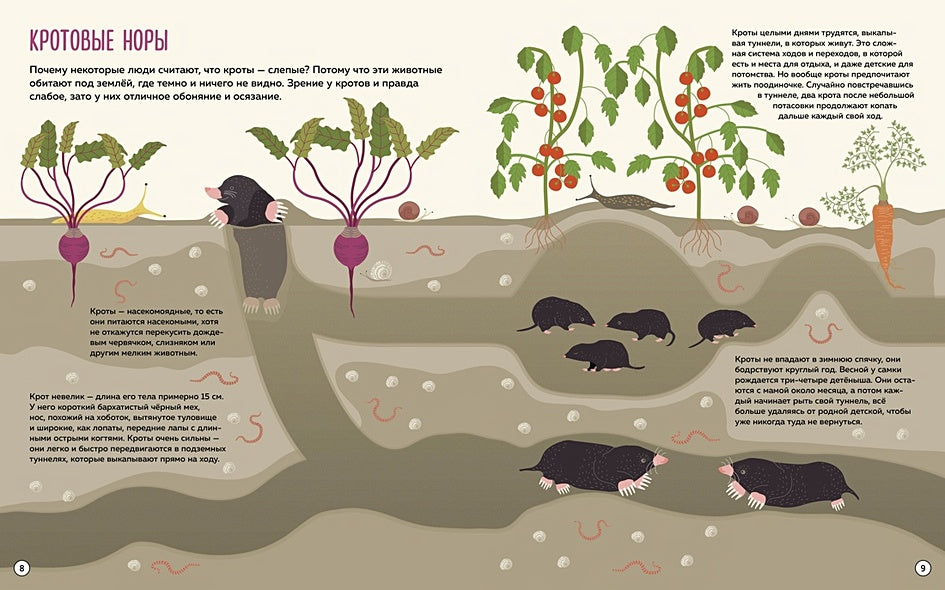 Что внутри? Как устроены дома животных 978-5-389-23273-0 - 2