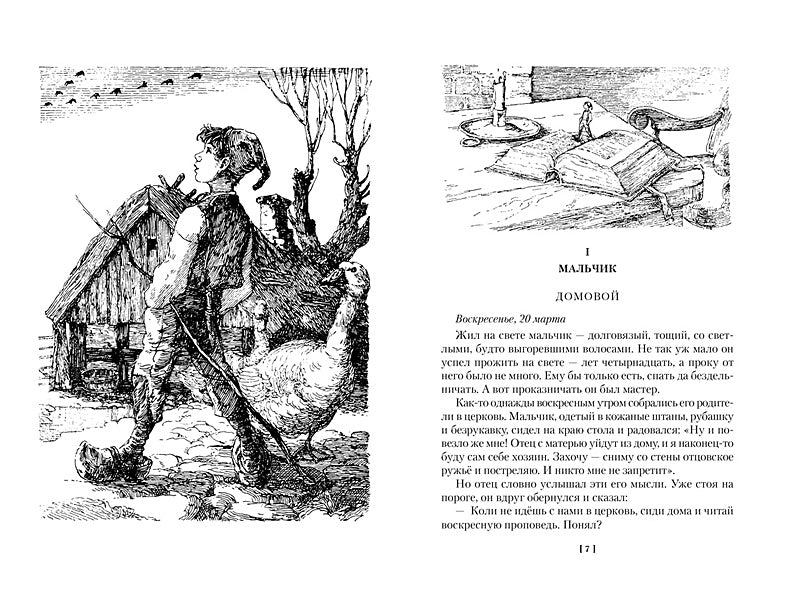 Удивительное путешествие Нильса с дикими гусями 978-5-389-25675-0 - 3