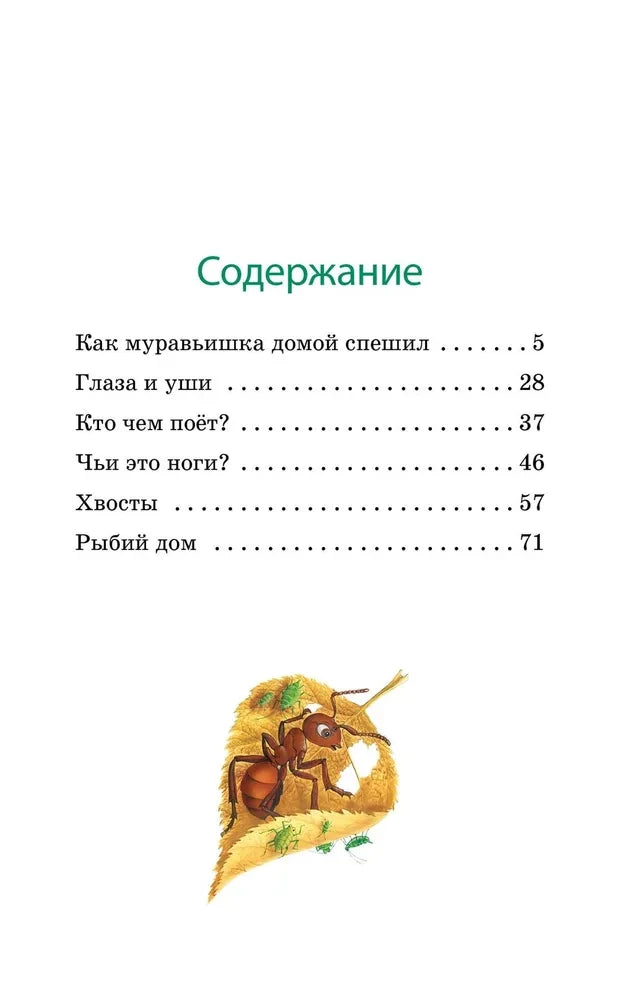 Как Муравьишка домой спешил null - 3