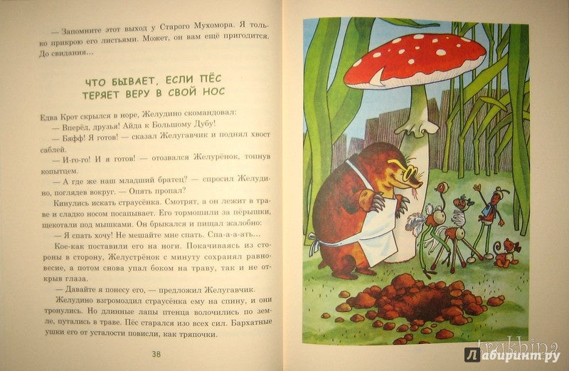 Восемь волшебных желудей, или Приключения Желудино и его младших братьев 978-5-4335-0239-0 - 34