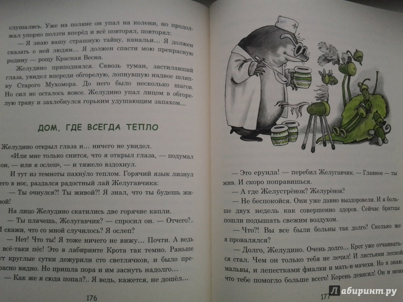 Восемь волшебных желудей, или Приключения Желудино и его младших братьев 978-5-4335-0239-0 - 27