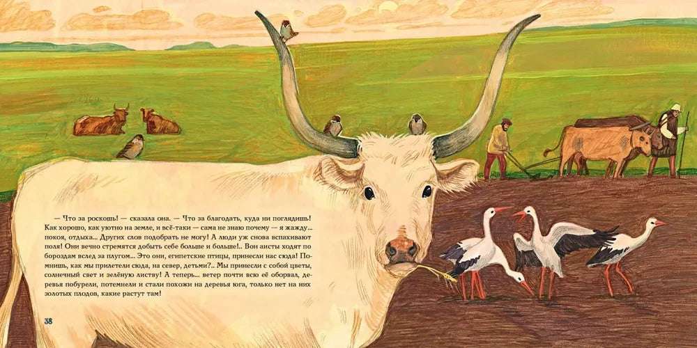 История года null - 4