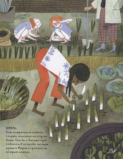 Рецепты с балконов, крыш и огородов 978-5-4335-0906-1 - 2